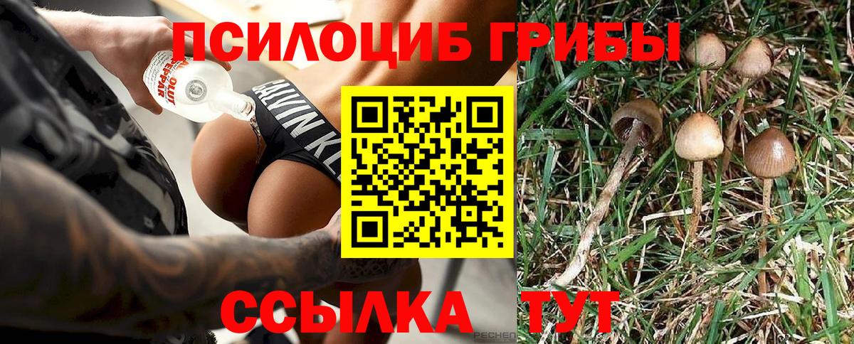 Галлюциногенные грибы Cubensis  Вход с VPN  Псилоцибиновые грибы GOLDEN TEACHER  Буйнакск 