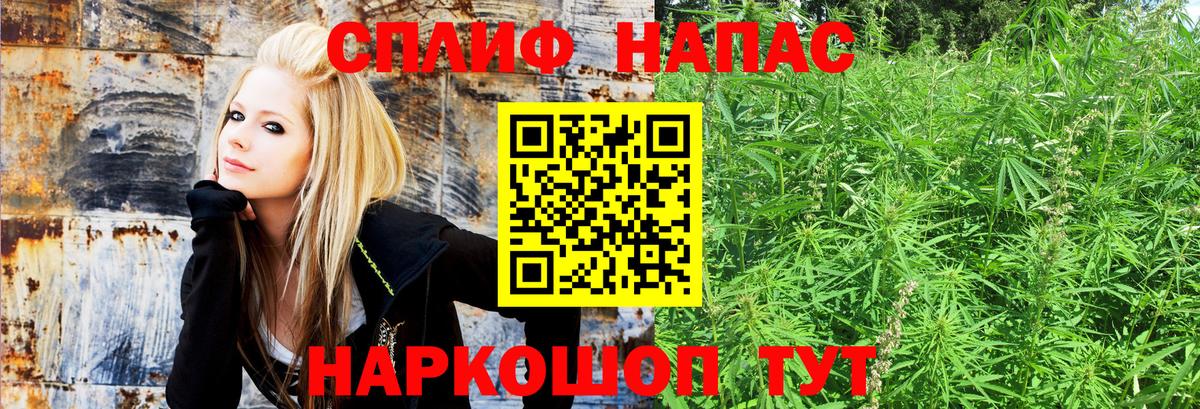 Каннабис OG Kush Буйнакск