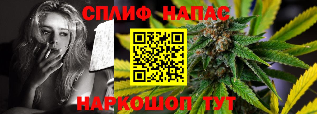 Бошки марихуана тримм  Конопля планчик  Вход с VPN  Канабис марихуана  Шишки марихуана семена  Буйнакск 